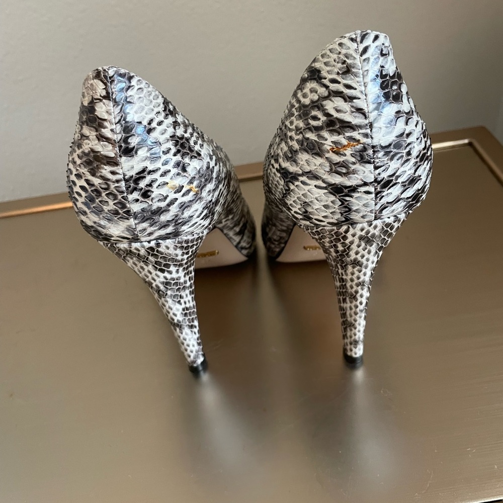 Python Pump 37 - image 5